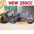 MC-369 Bode Quanlity assegurado novo CEE 250cc Ztr Trike Roadster para venda 3 Wheeler motocicleta